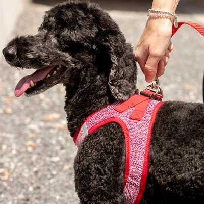 Curli Adjustable Nylon Lead - Red - Image 4