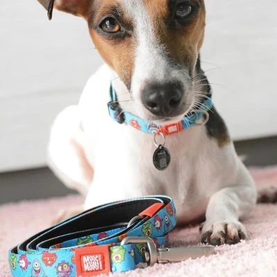 Max & Molly Little Monsters Short Lead - Image 4