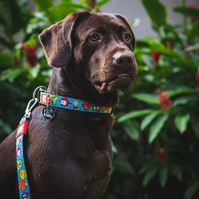 Max & Molly Little Monsters Short Lead - Image 2