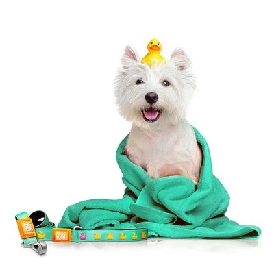 Max & Molly Ducklings Short Lead - Image 4