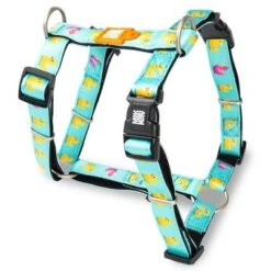 Max & Molly Ducklings H-Harness