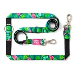 Max & Molly Tropical Multifunctional Lead