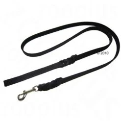 Heim Plaited Leather Dog Lead - Black