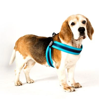 Max & Molly Q-Fit Harness Matrix Sky Blue - Image 3
