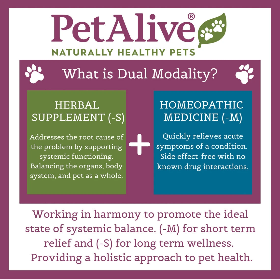 PetAlive Cushex Drops M Homeopathic Remedy For Cushing's - Image 5