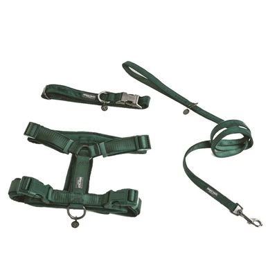 Nomad Tales Blush Tableware, Emerald - Image 7