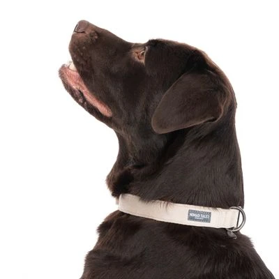 Nomad Tales Blush Necklace, Taupe - Image 4