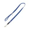 Nomad Tales Bloom Leash, Sapphire