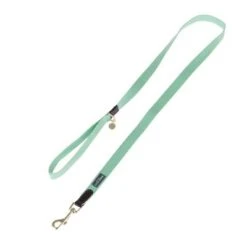 Nomad Tales Bloom Leash, Mint