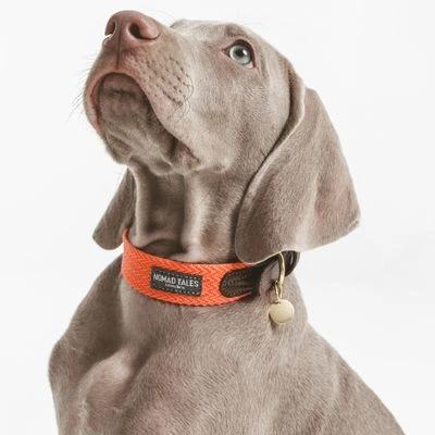 Nomad Tales Bloom Collar, Coral - Image 2