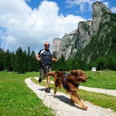 NEEWA Canicross Jogging Belt - Image 4