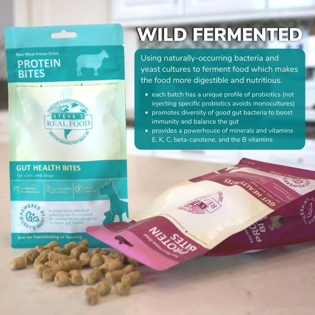 Steve's Real Food Probiotic Protein Bites - Image 9
