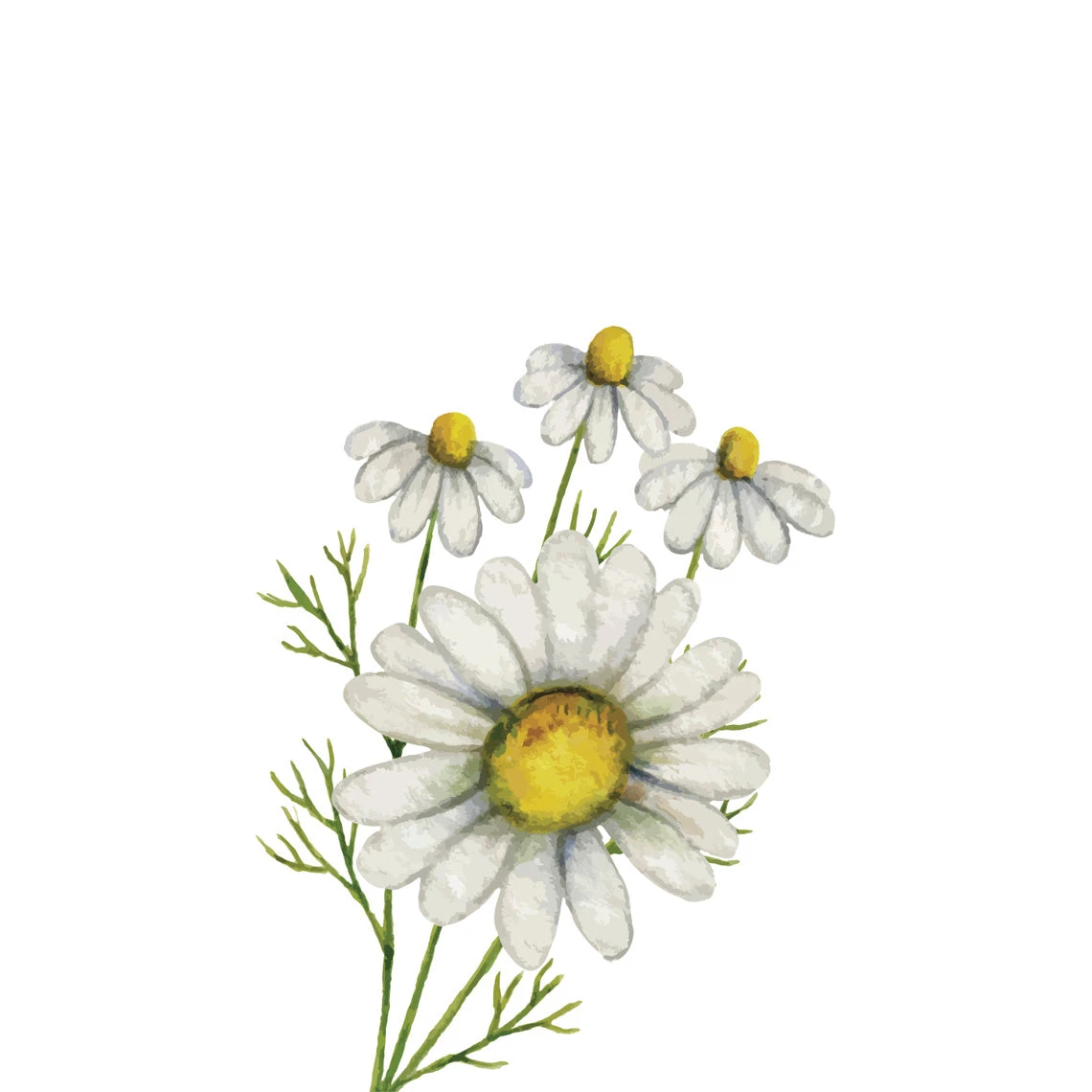 TrueBlue EasyComb Detangling Spray - Image 2