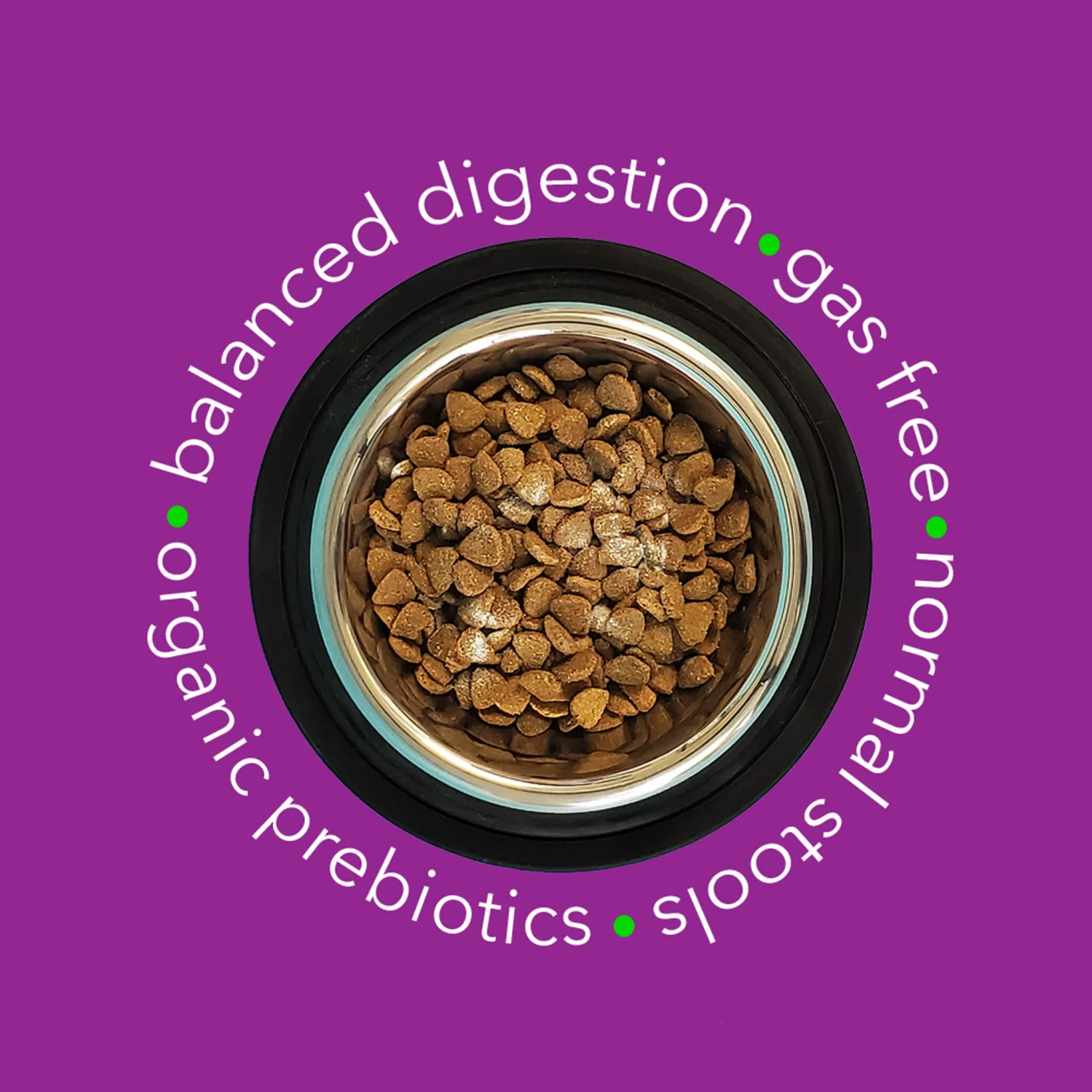 In Clover OptaGest Digestive Aid Dog & Cat Supplement - Image 4