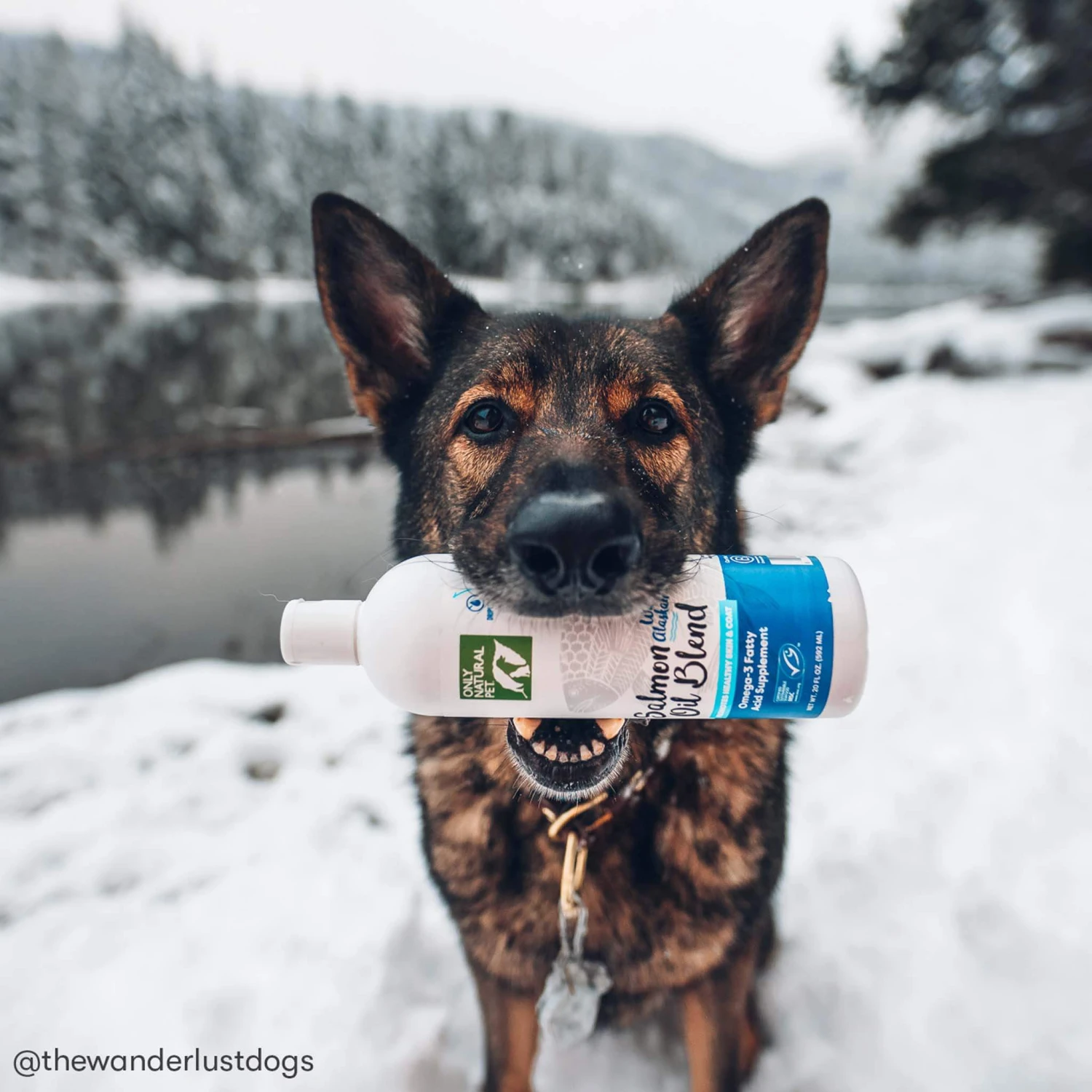 Only Natural Pet Wild Alaskan Salmon Oil Blend For Dogs & Cats - Image 10