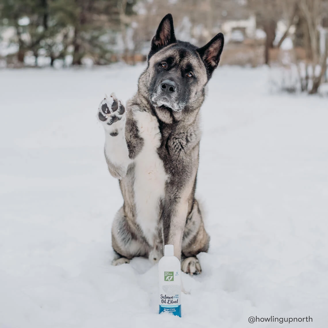 Only Natural Pet Wild Alaskan Salmon Oil Blend For Dogs & Cats - Image 7