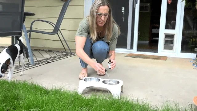 Only Natural Pet Skin & Itch Homeopathic Remedy - Image 2