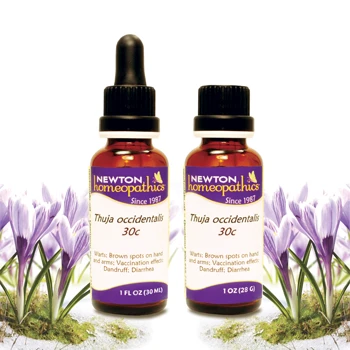 Newton Homeopathics Thuja - Image 3