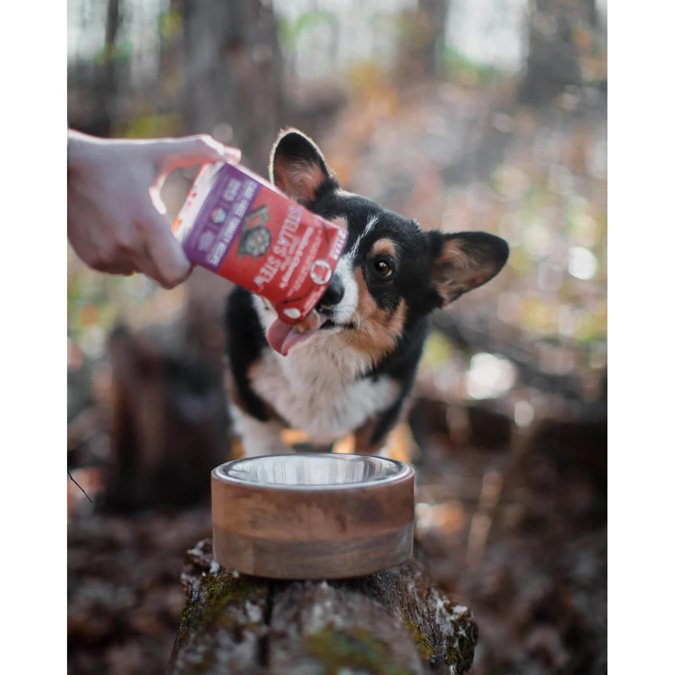 Stella & Chewy's Stew Wet Food For Dogs Case Of 12 - Image 8