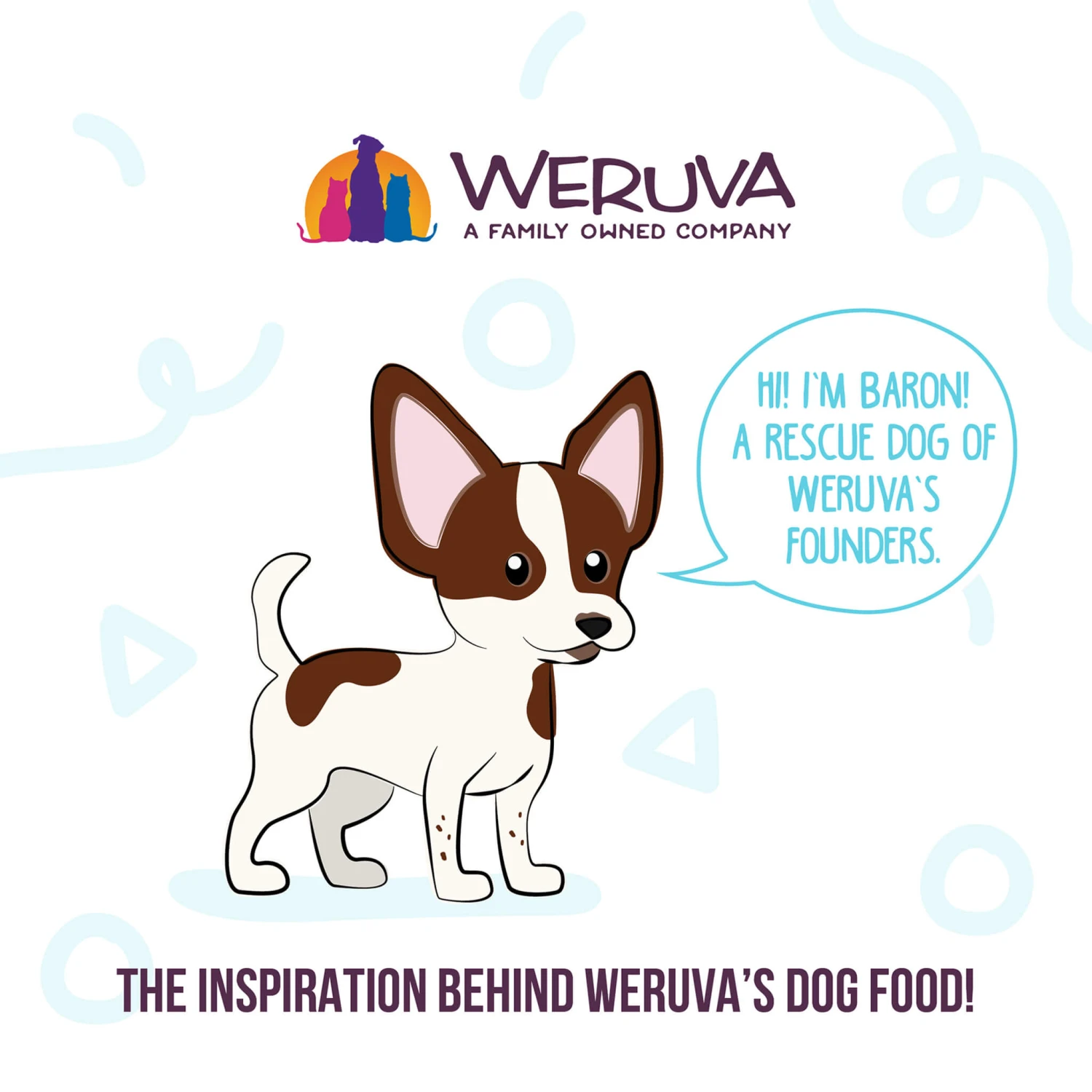Weruva Meals 'n More Skin & Coat Wet Dog Food - Image 20