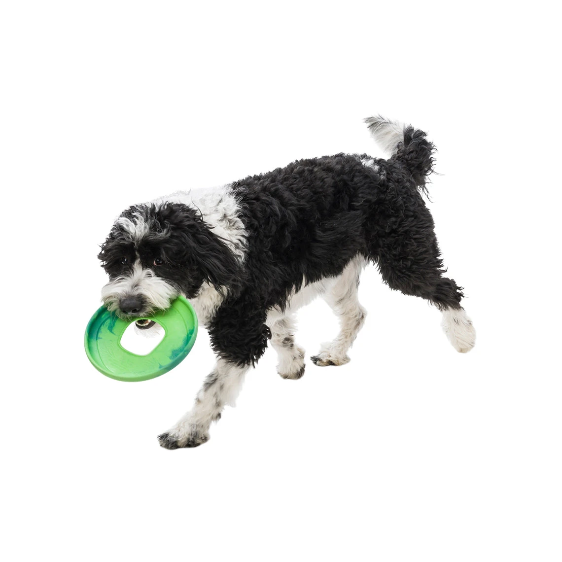 West Paw BPA-Free Sailz Float Toy For Dogs - Image 2