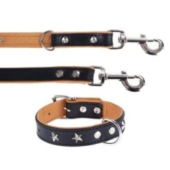 Heim Leather Lead & Collar Set - Stars