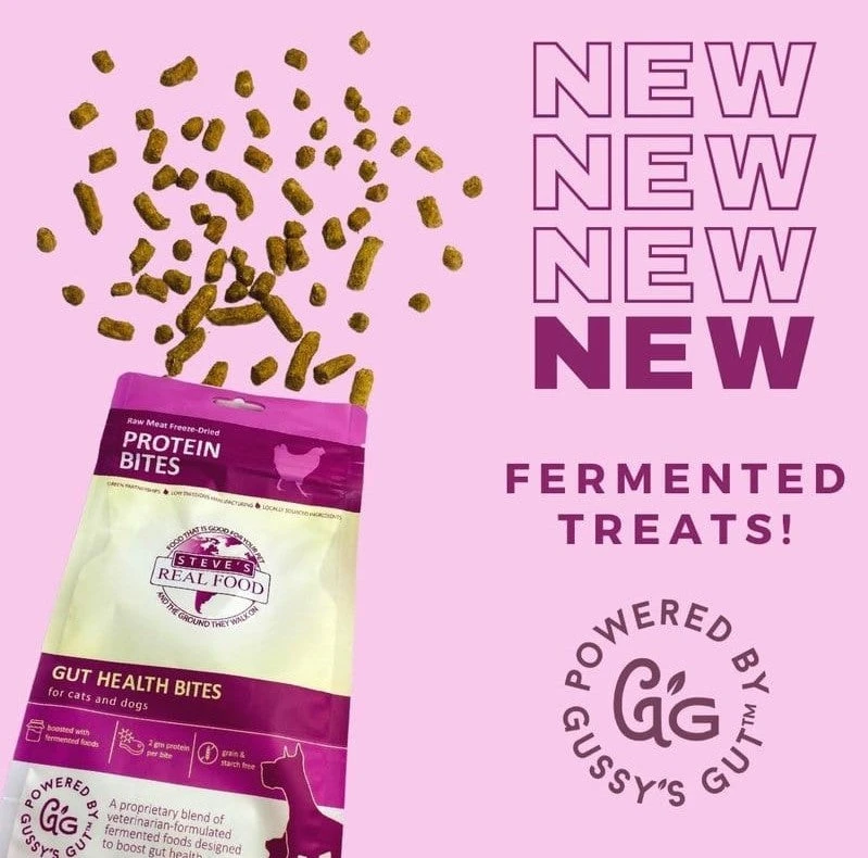 Steve's Real Food Probiotic Protein Bites - Image 7